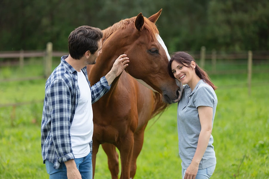 A chestnut horse with a white blaze being petted in a fenced green pasture, representing selling a home in Whitney.